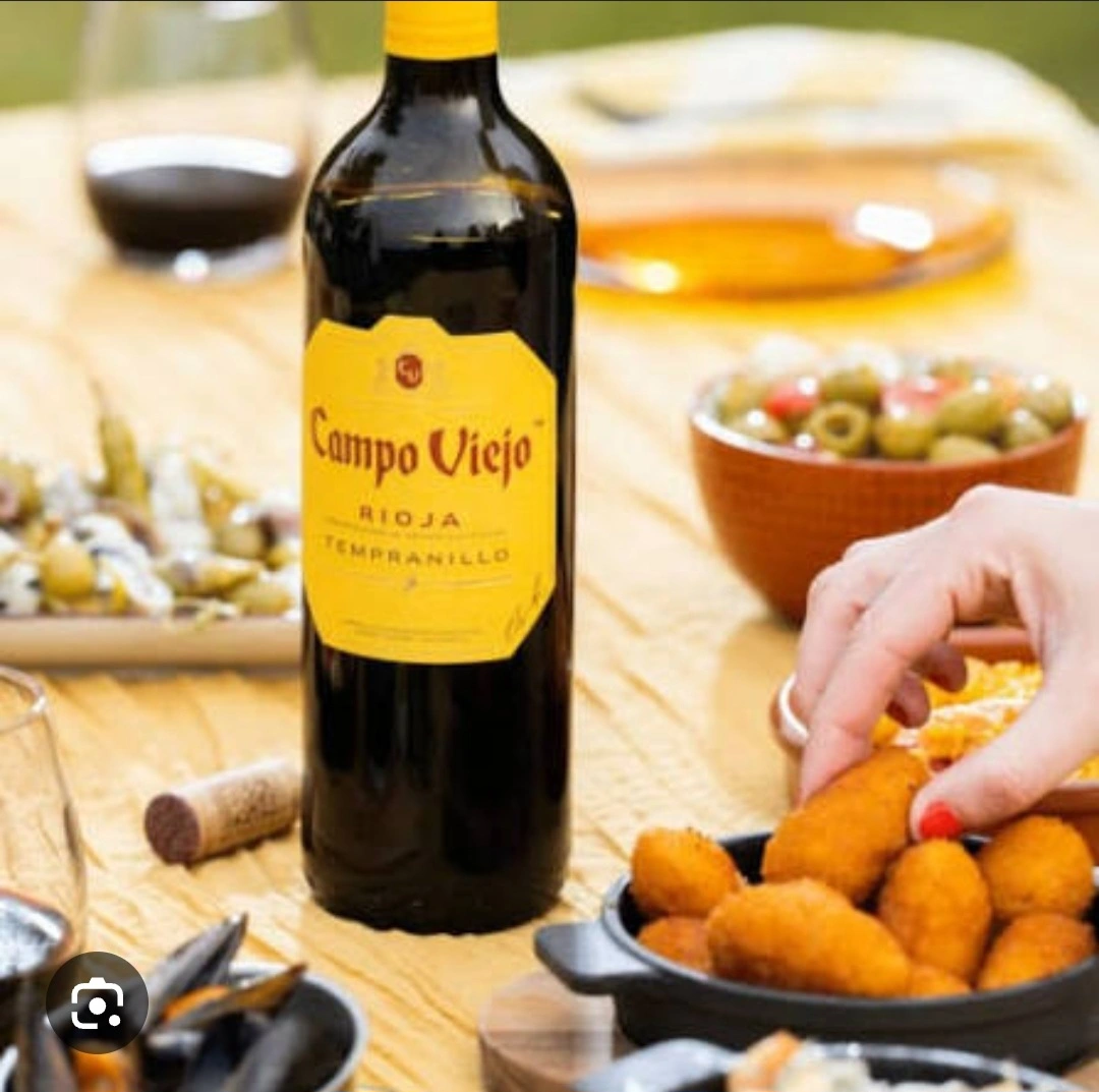 VT Campo Viejo Tempranillo